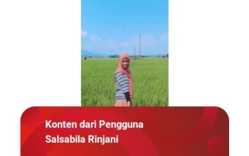 Filipina dan Indonesia Sepakat Perkuat Kerja Sama Pertahanan Laut di Perairan Sulu