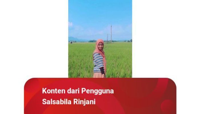 Filipina dan Indonesia Sepakat Perkuat Kerja Sama Pertahanan Laut di Perairan Sulu