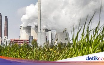 Marcos Isyaratkan Pemulihan Hubungan dengan China di Tengah Krisis Energi Akibat Perang Timur Tengah